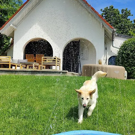 Luxury Vineyard Retreat With Private Jacuzzi Villa Szigetvár Exterior photo