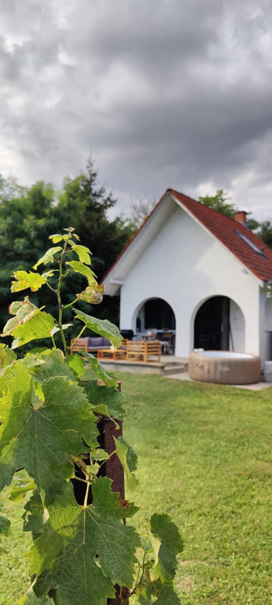 Luxury Vineyard Retreat With Private Jacuzzi Вілла *