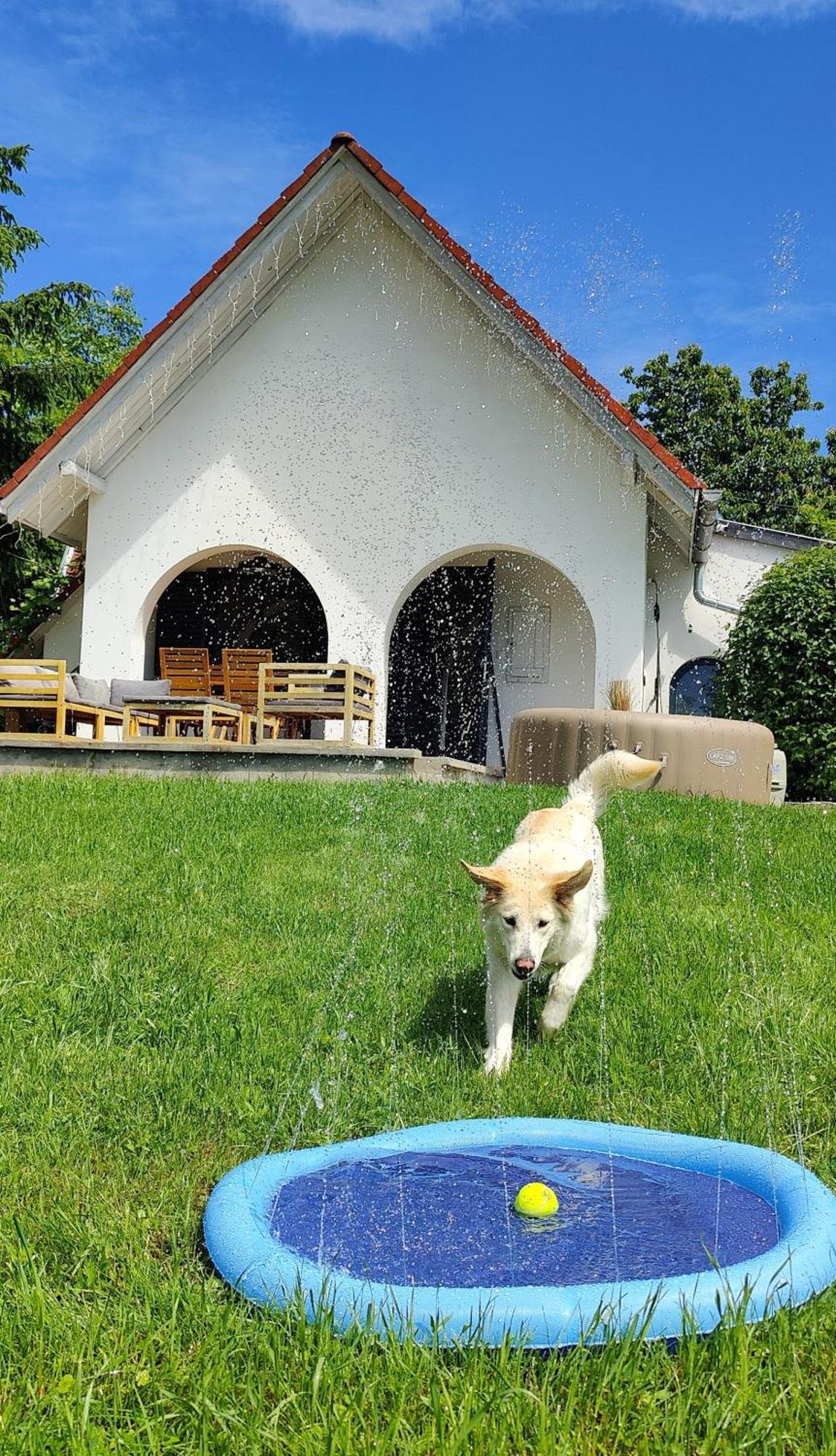 Вілла Luxury Vineyard Retreat With Private Jacuzzi Сігетвар
